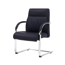 Triton 666L Visitor Leather Chair